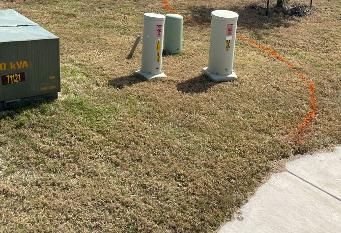 Grass2