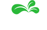 Axis Landscaping